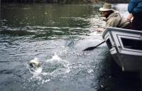 gal/Fishing 1/_thb_File0033.jpg